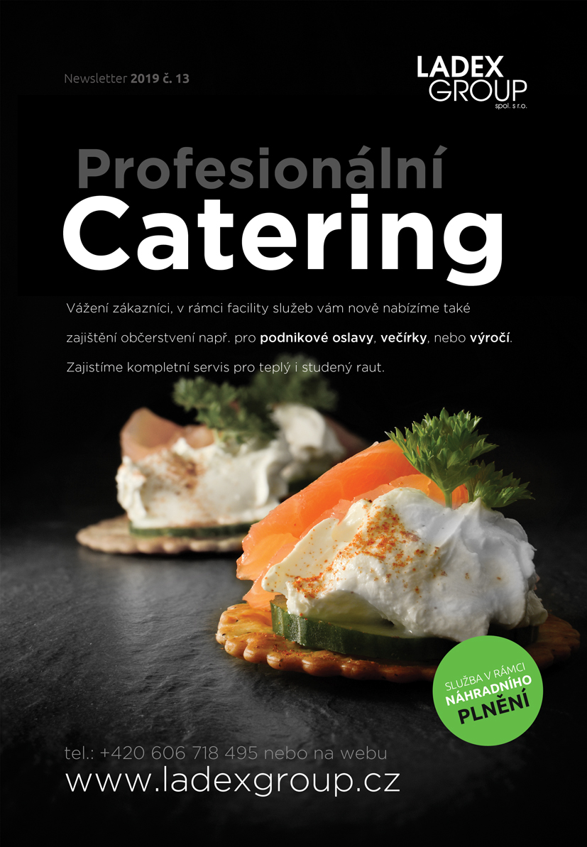 Profesionální catering